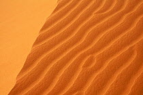 Patterns made by wind in sand dunes, Banc d'Arguin National Park UNESCO World Heritage Site, Mauritania.