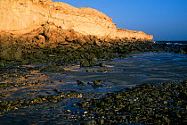 Cliffs on the coast of  Banc d'Arguin National Park UNESCO World Heritage Site, Mauritania.