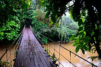 Suspension bridge across the river, entrance to Gunung Mulu National Park UNESCO Natural World Heritage Site, Malaysian Borneo.