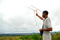 Park biologists radio tracking a troop of Mandrills (Mandrillus sphinx) on the map. Lop National Park, Ecosystem and Relict Cultural Landscape of Lop-Okanda UNESCO World Heritage Site, Gabon.