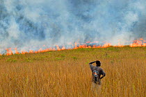 Man watching controlled grassland fire, Lop National Park, Ecosystem and Relict Cultural Landscape of Lop-Okanda UNESCO World Heritage Site, Gabon.