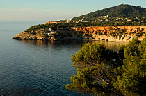 Coast of Ibiza, Biodiversity and Culture UNESCO World Heritage Site, Ibiza, Spain, February 2008.