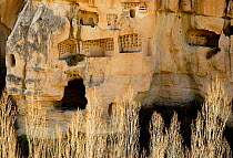 Troglodyte villages and underground towns. Goreme National Park and the Rock Sites of Cappadocia UNESCO World Heritage Site. Turkey. December 2009.