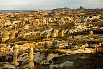 Pinnacles, also known as fairy chimneys or hoodoo,  Love Valley. Goreme National Park and the Rock Sites of Cappadocia UNESCO World Heritage Site. Turkey. December 2006.