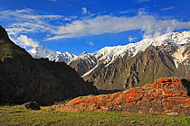 Higlands of Pamir Mountains, with alpine pastures and glaciers. Tajik National Park (Mountains of the Pamirs) UNESCO World Heritage Site, Tadjikistan, June 2014