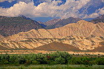 Naryn River Valley, Inner Tien-Shan region, Western Tien-Shan UNESCO Natural World Heritage Site, Kyrgyzstan Republic, June 2016.