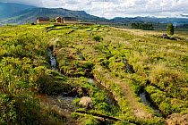 House and farm in the Rainforests of the Atsinanana UNESCO World Heritage Site, Andringitra National Park, Madagascar, November 2009