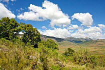 Houses and fields in Rainforests of the Atsinanana UNECO World Heritage Site, Andringitra National Park, Madagascar, November 2009.