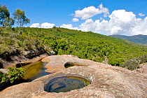 Rainforests of the Atsinanana UNESCO World Heritage Site, Andringitra National Park, Madagascar, November 2009.