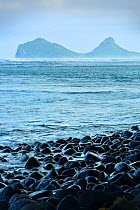 Little Island rocky beach with Mount Eliza in the background, Lord Howe island, Lord Howe Island Group UNESCO Natural World Heritage Site, New South Wales, Australia