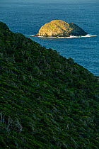Admiralty Islands from Malabar Hill, Lord Howe island, Lord Howe Island Group UNESCO Natural World Heritage Site, New South Wales, Australia, October 2012.