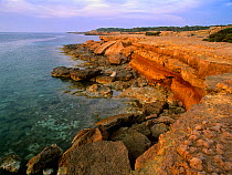 Rocky coast in Ses Platges des Compte,  Ibiza biodiversity and culture UNESCO World Heritage Site, Spain.