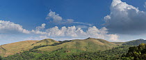 Panorama of mountains with grassland habitat and shola forest, Kudremukh National Park, Western Ghats UNESCO Natural World Heritage Site, India. November 2013.