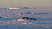 Icebergs and islands in sunset light, Adelie Land, Antarctica, January 2017.