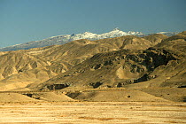Kugitang mountain range, Turkmenistan 1990. Small repro only.