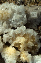 Salt crystals on the ground of the Kugitang Plain, Turkmenistan, 1990. Small repro only.
