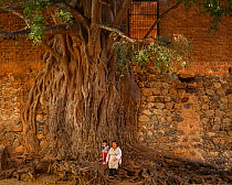 Grandmother and grandson  standing next to Strangler fig (Ficus padifolia) covering the wall of their home, Aduana, near Alamos, Sonora, Mexico.