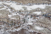Aerial photograph of snow-covered string bogs/ aapa mires in the Muddus National Park. Laponia World Heritage Site, Swedish Lapland, Sweden. December 2016.