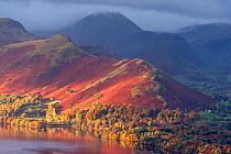 Catbells and the edge of Derwentwater bathed in early morning light and autumnal colours, Latrigg, Keswick, The Lake District, Cumbria, UK. November 2016.