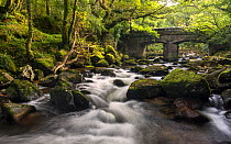 Shaugh Prior, bridge and River Plym, Dartmoor National Park, Devon, UK. September 2016.