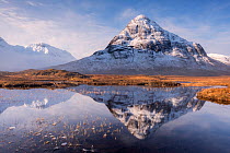 Buachaille Etive Beag reflected in Lochan na Fola after snowfall, early morning light, Glencoe, Scotland, UK. March 2017.