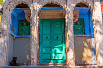 Green Door in the Blue City,  Jodhpur, Rajasthan, India. March 2015
