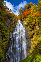 Kurokuma Falls in autumn, Nishi Tsugaru County,  Shirakami Sanchi UNESCO World Heritage Site, Aomori Prefecture, Japan.