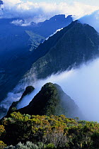 View of Piton de la Fournaise and Piton des Neiges from Roche Ecrite, Reunion National Park,  Pitons, cirques and remparts of Reunion Island UNESCO World Heritage Site. Reunion Island.