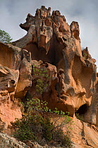 Rock formations in Calanches de Piana UNESCO World Heritage Site, Corsica, October 2010.
