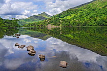 Reflections in Llyn Gwynant in the Glaslyn valley, looking west with Yr Aran mountain in the background, Snowdonia National Park, North Wales, UK, June.