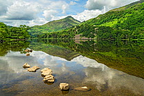 Reflections in Llyn Gwynant in the Glaslyn Valley looking west with Yr Aran mountain in the background, Snowdonia National Park, North Wales, UK, June.