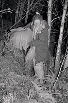 Dr. Jenny Macpherson carryng a live trap containing a Pine Marten (Martes martes) caught at night in Scottish woodland for a reintroduction project to Wales run by the Vincent Wildlife Trust, Highland...