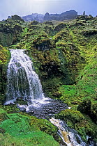 Waterfall in volcanic landscape,  Sooty Canyon, Gough Island, Gough and Inaccessible Islands UNESCO World Heritage Site, South Atlantic.
