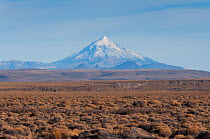 Lanin Volcano, Northern Patagonia, Argentina. May 2012.