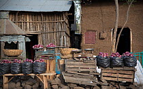 Local produce is sold alongside the road near Lake Tana and Bahir Dar, Ethiopia. April 2015.