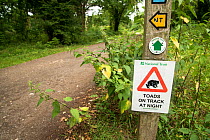 Common toad (Bufo bufo) warning sign erected during breeding season. Surrey, UK.