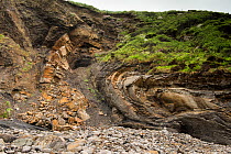 Small anticlinal fold in Carboniferous, Coal Measures rocks. Broad Haven, Pembrokeshire, Wales, UK, May.
