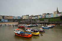 Tenby Harbour, Pembrokeshire, Wales, UK, May