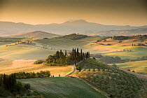 Typical landscape in Tuscany, with the farmhouse &#39;Belvedere&#39; near to San Quirico d&#39;Orcia, Italy, June.