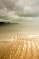 Sea mist at Broad Haven, Pembrokeshire, Wales, UK, May