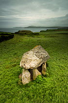 Carreg Samson, a 5000 year old Neolithic dolmen or burial chamber, near Abercastle, Pembrokeshire, Wales, UK, June