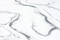 Aerial view oof snow-covered Rapa delta. The river channels are bordered by narrow strips of Mountain birch (Betula pubescens) forest. Laponia UNESCO World Heritage Site, Lapland, Sweden. ~Highly comm...