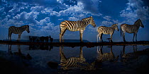 Zebra at waterhole at night, Mkuze, South Africa Third place in the Nature Portfolio category of the World Press Photo Awards 2017.