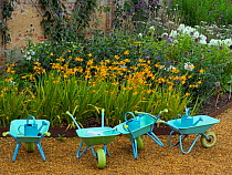 Childrens wheel barrows and watering cans in school gardening project England, UK.