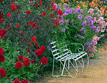 Dahlia border with garden seat  England, UK.