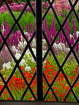 Colourful garden with Phlox, Crocosmia and Loosestrife (Lythum virgatum) seen through lattice window . England, UK.
