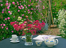 Table with tea set and vase of Red valerian (Centranthus ruber) and Climbing roses (Rosa sp) in the background. England, UK.