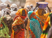Ouled Rachid tribeswomen at market, one carrying a bowl of grain on her head, Kashkasha village near Zakouma National Park, Chad, 2010.