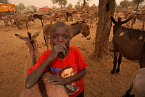 Ouled Rachid child in village, with domestic donkeys in the background, Bon Village, Zakouma National Park, Chad, 2010.