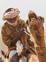 Ouled Rachid tribesman riding a domestic camel, Kashkasha village near Zakouma National Park, Chad, 2010.